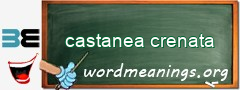 WordMeaning blackboard for castanea crenata